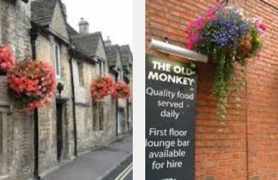 ハンギングバスケット