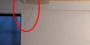 リノベーション工事(54日目)