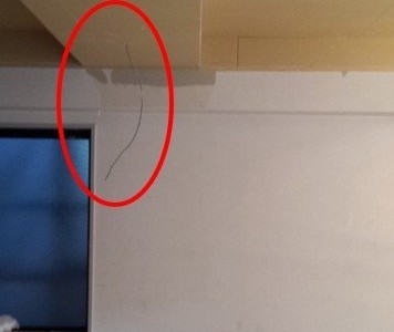 リノベーション工事（54日目）